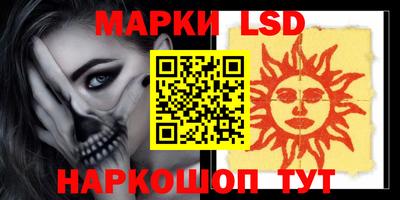 гашик Будённовск