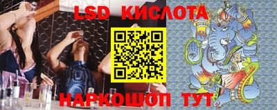 гашик Будённовск