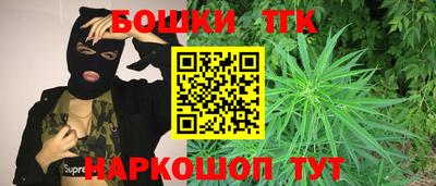 гашик Будённовск