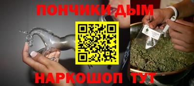 гашик Будённовск