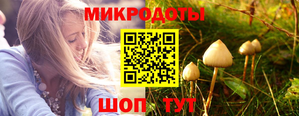 Псилоцибиновые грибы Psilocybe  Вход с VPN  Красногорск 